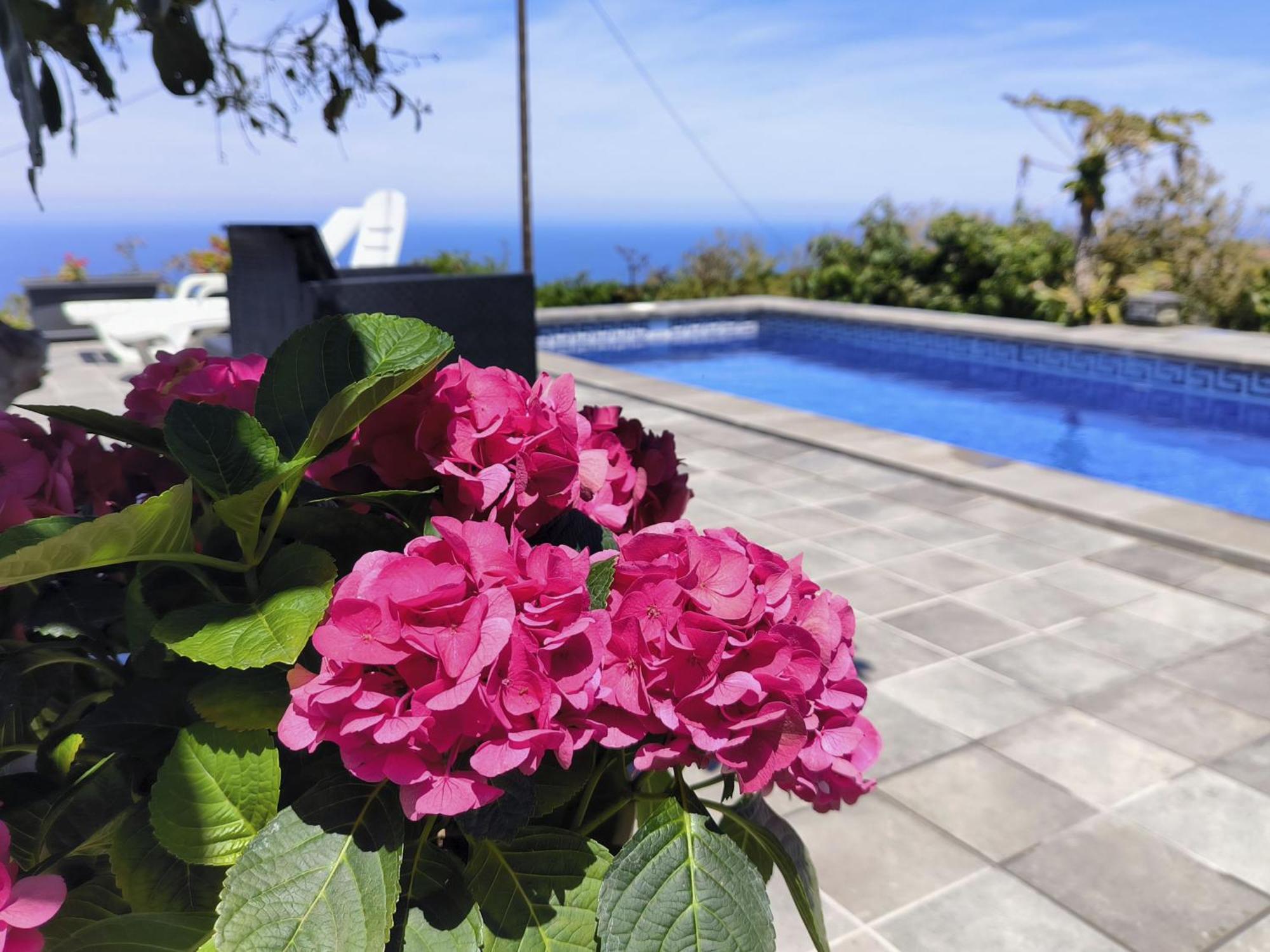 Apartamentos Guayonje Costa ซานตาครูซ เด เตเนริเฟ ภายนอก รูปภาพ